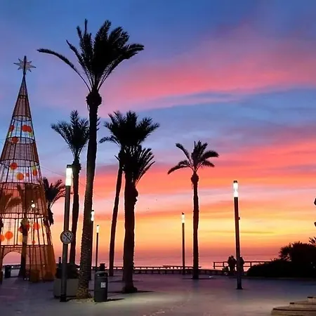 Anett Torrevieja